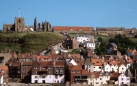 Whitby Museum [CANCELLED]