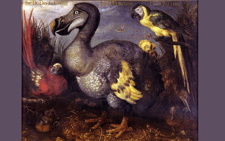 The dodo doesn t anymore