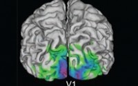 Reading the brain: Clinical evidence and implications for ethical decisions