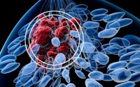 The chemistry of anti-cancer drugs