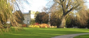 museum gardens2