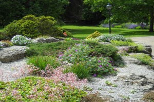 York-Museum-Gardens-Rockery