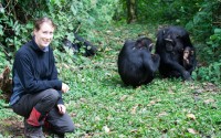 Evolution of Language: what do chimpanzees have to say?