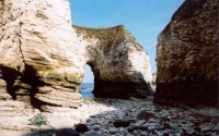 Geology Field Trip- Yorkshire Chalk