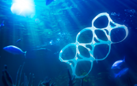 Marine anthropogenic litter and microplastics