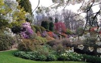 YPS Tour: Gardens and Abbeys of Edinburgh and the Scottish Borders