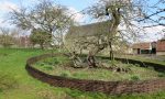 Newton's Apple Tree at Woolsthorpe Manor