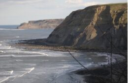 Muddy Bottoms: response of Jurassic seafloors to palaeoenvironmental change