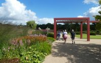 Visit to RHS Bridgewater, Salford