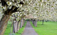 Visit and Walk at The Retreat, York