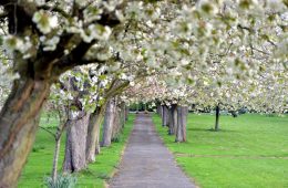Visit and Walk at The Retreat, York