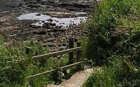 Burniston Foreshore and Betton Farm Quarry