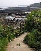 Burniston Foreshore and Betton Farm Quarry